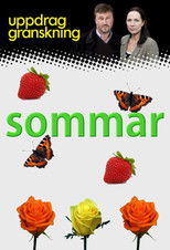 Poster for Uppdrag granskning sommar
