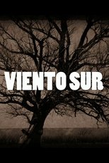 Poster for Viento Sur