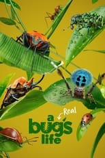 Poster for A Real Bug's Life
